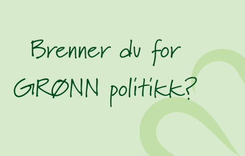 Senterungdommen søker politisk rådgiver i 100% fast stilling