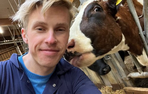 Søk organisatorisk utvalg (OU)!