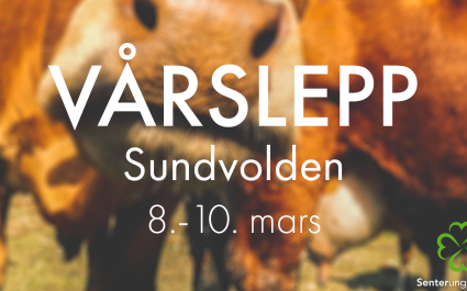 vårslepp