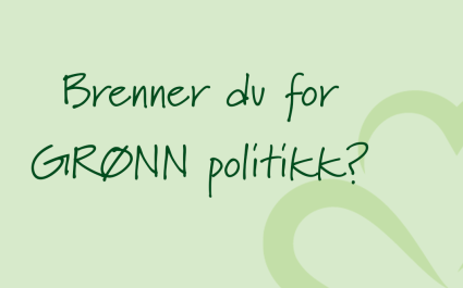 Poltitisk rådgiver nettside