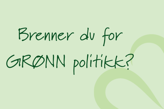Senterungdommen søker politisk rådgiver Senterungdommen søker politisk rådgiver