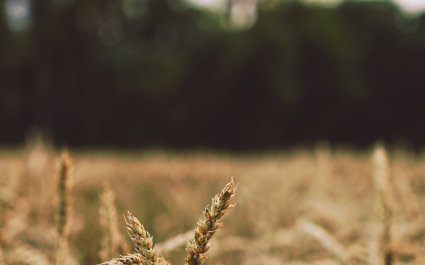 tim-krauss-573475-unsplash