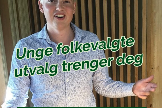 Unge folkevalgte utvalg – utlysning Unge folkevalgte utvalg – utlysning
