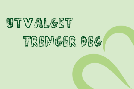 Politisk utvalg trenger deg! Politisk utvalg trenger deg!