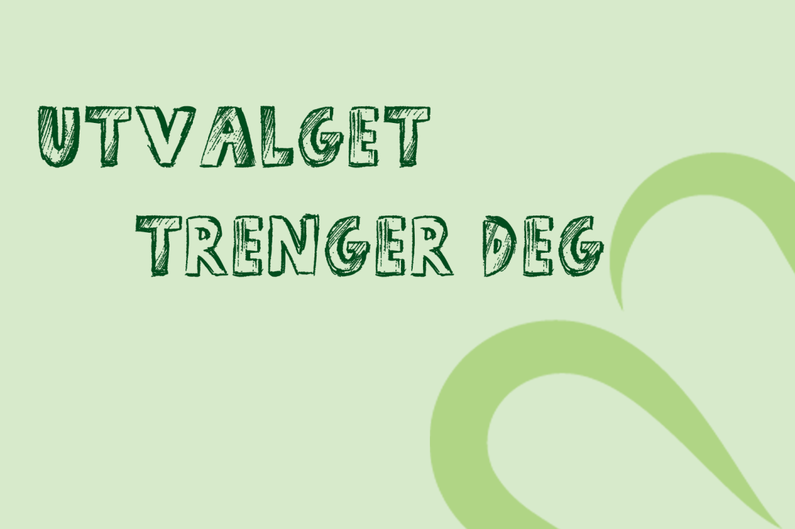 Organisatorisk utvalg trenger deg!