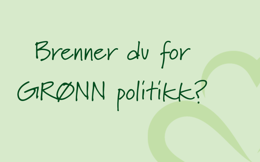 Poltitisk rådgiver nettside