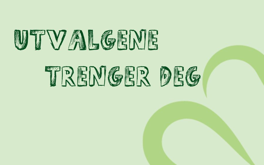 Utvalgene trenger deg grafikk