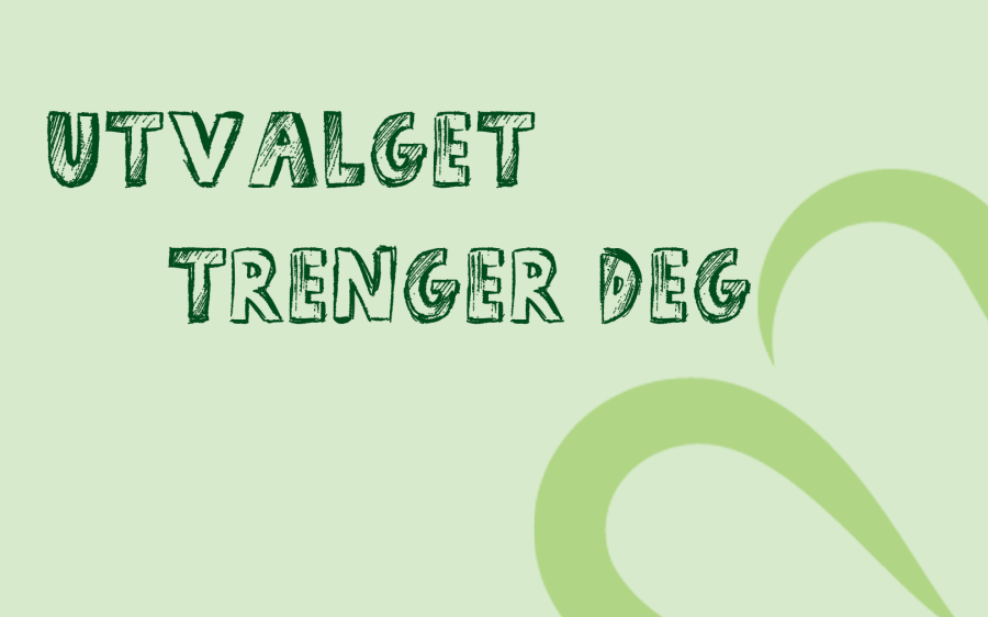 Utvalget trenger deg