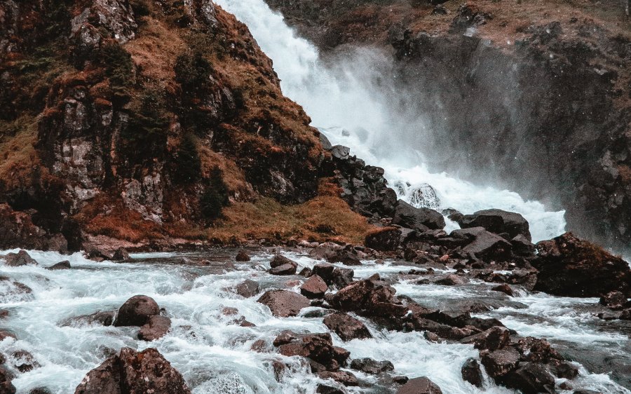 yannic-kress-1290784-unsplash