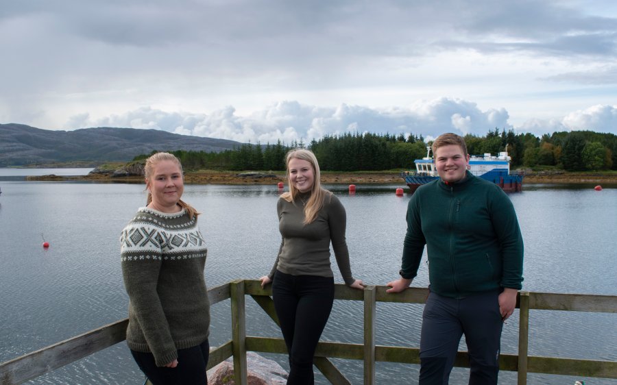 Dorthea Elverum, Vegard Frøseth Fenes og Maren Grøthe mot havet