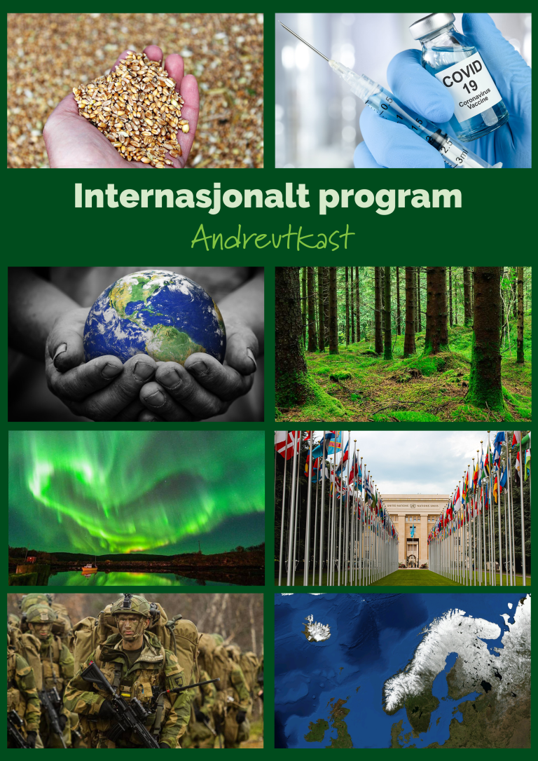 Forside internasjonalt program.png